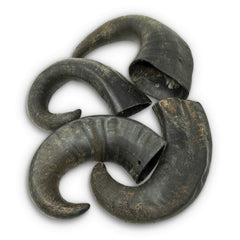 Wild Eats Water Buffalo Horn Medium – durable chew for dogs, long-lasting entertainment.