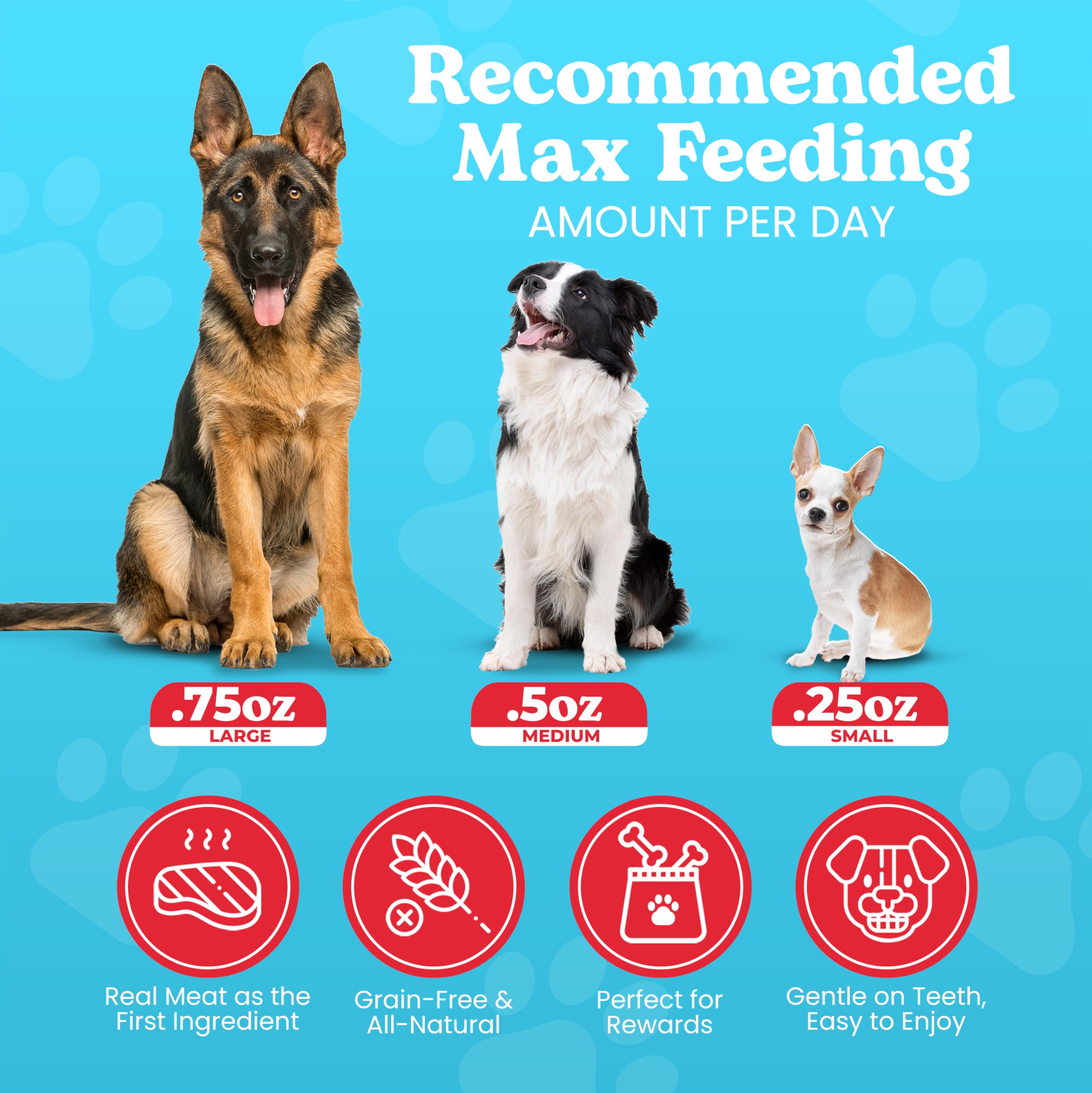 Serving suggestion for smaller dogs with Wild Meadow Farms Minis.