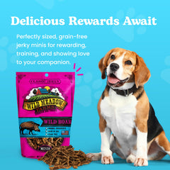 Wild Meadow Farms Classic Wild Boar Dog Minis close-up shows tender jerky texture.