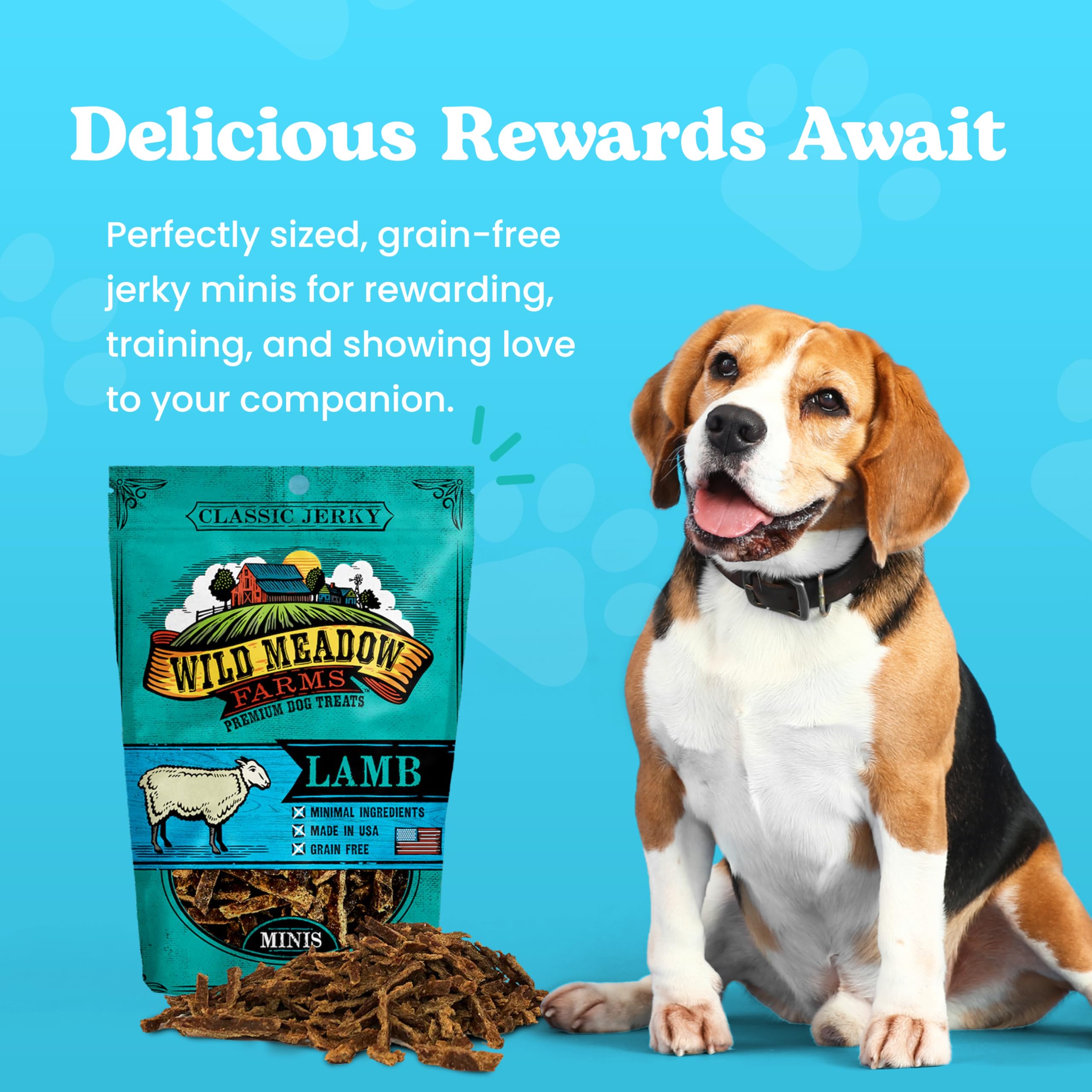 Wild Meadow Farms soft jerky minis close-up highlighting easy-chew texture for dogs