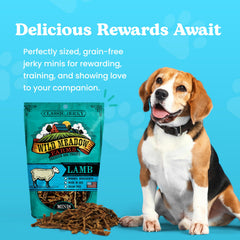 Wild Meadow Farms soft jerky minis close-up highlighting easy-chew texture for dogs