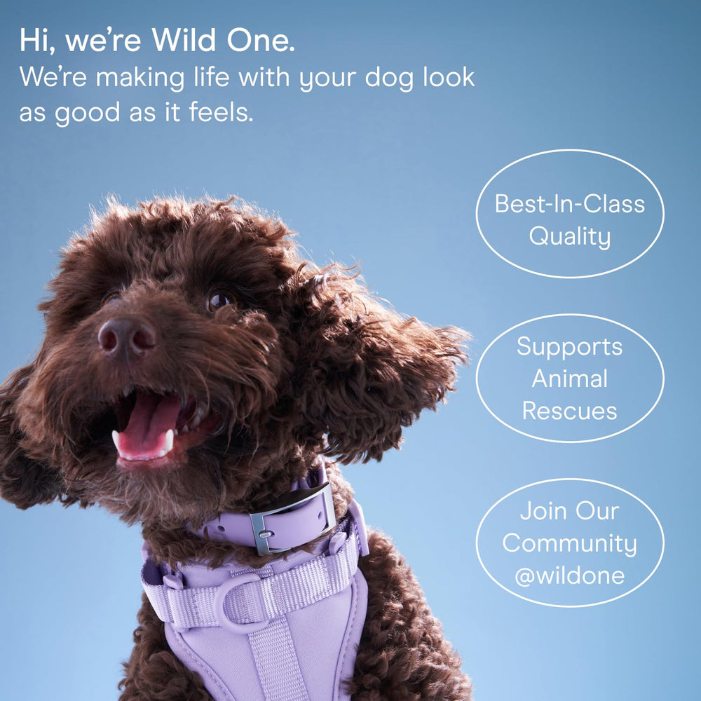 Wild One compact pouch with 70 wipes per pack for practical grooming