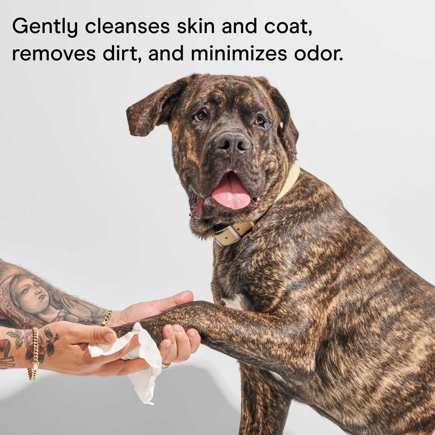Wild One resealable lid dog wipes feature keeps wipes fresh after use