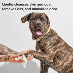 Wild One resealable lid dog wipes feature keeps wipes fresh after use