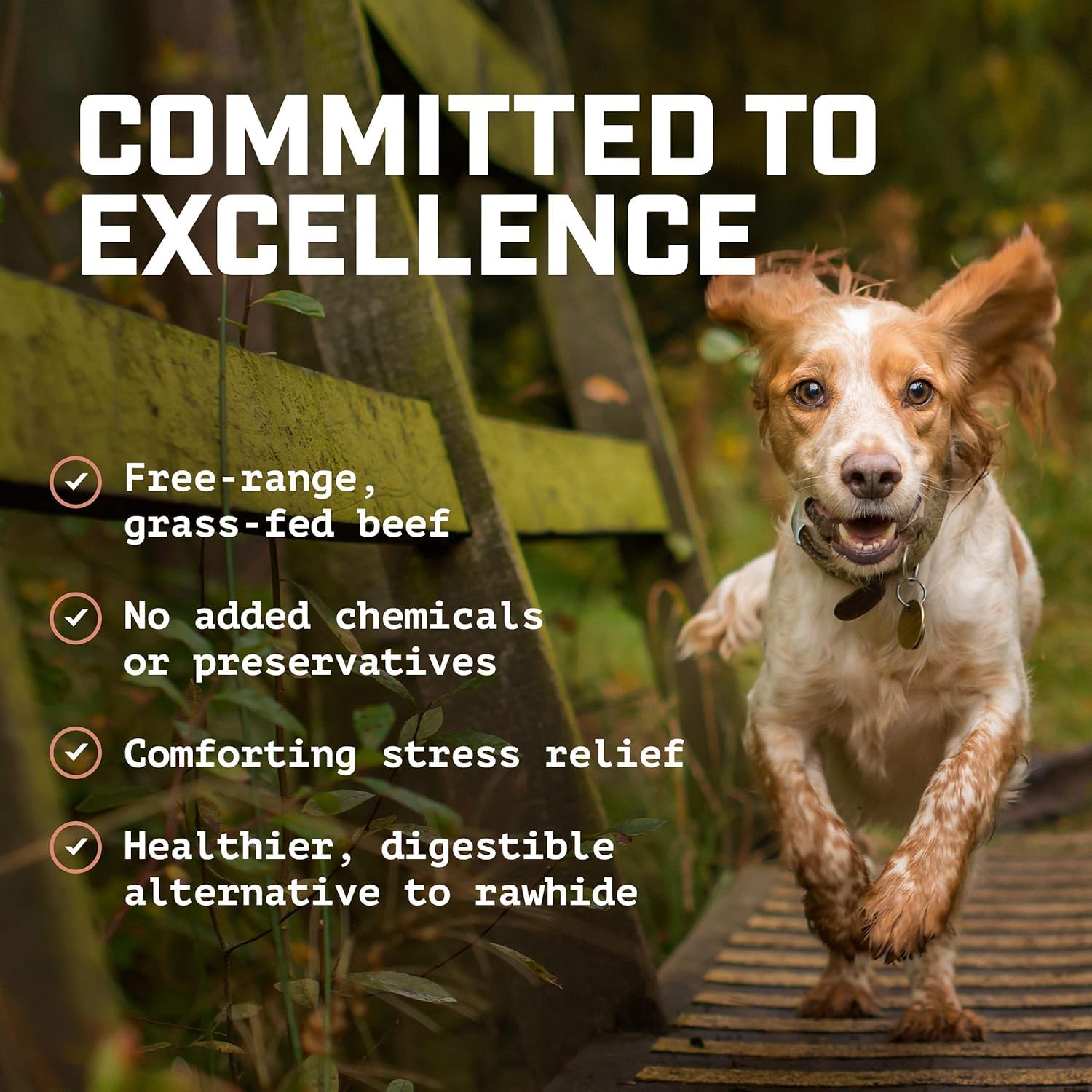 Wild Wolf Angus Bully Sticks dog chew, tooth-friendly texture may reduce tartar.