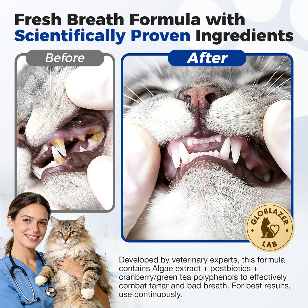 Wildaily Cat Dental Powder plaque-removal supports cleaner teeth over time.