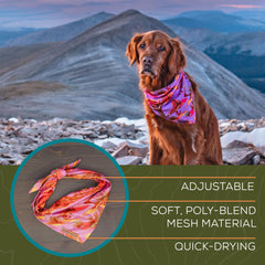 Wilderdog bandana on a dog outdoors during a walk