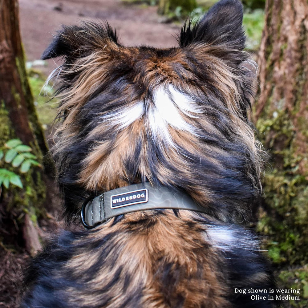 Wilderdog camping dog essentials set including the olive collar.