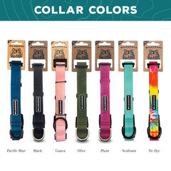 Wilderdog collar repels water and dirt for rainy walks