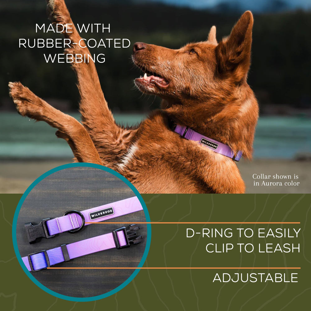 Wilderdog Aurora collar profile highlighting soft, durable rubber-coated webbing for rain and snow
