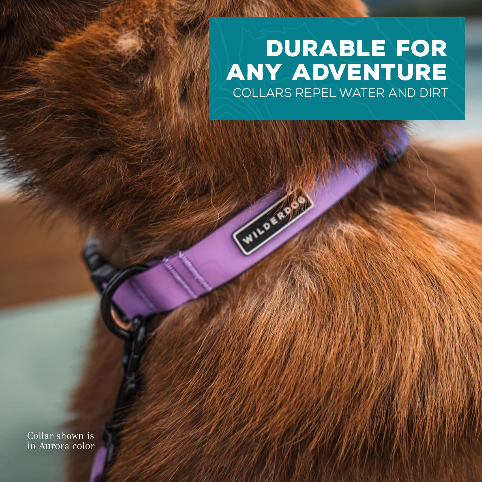 Wilderdog Aurora collar with leash showcased for camping and hiking adventures