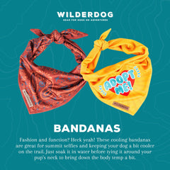 Wilderdog Daisy bandana close-up stitching highlights durability.