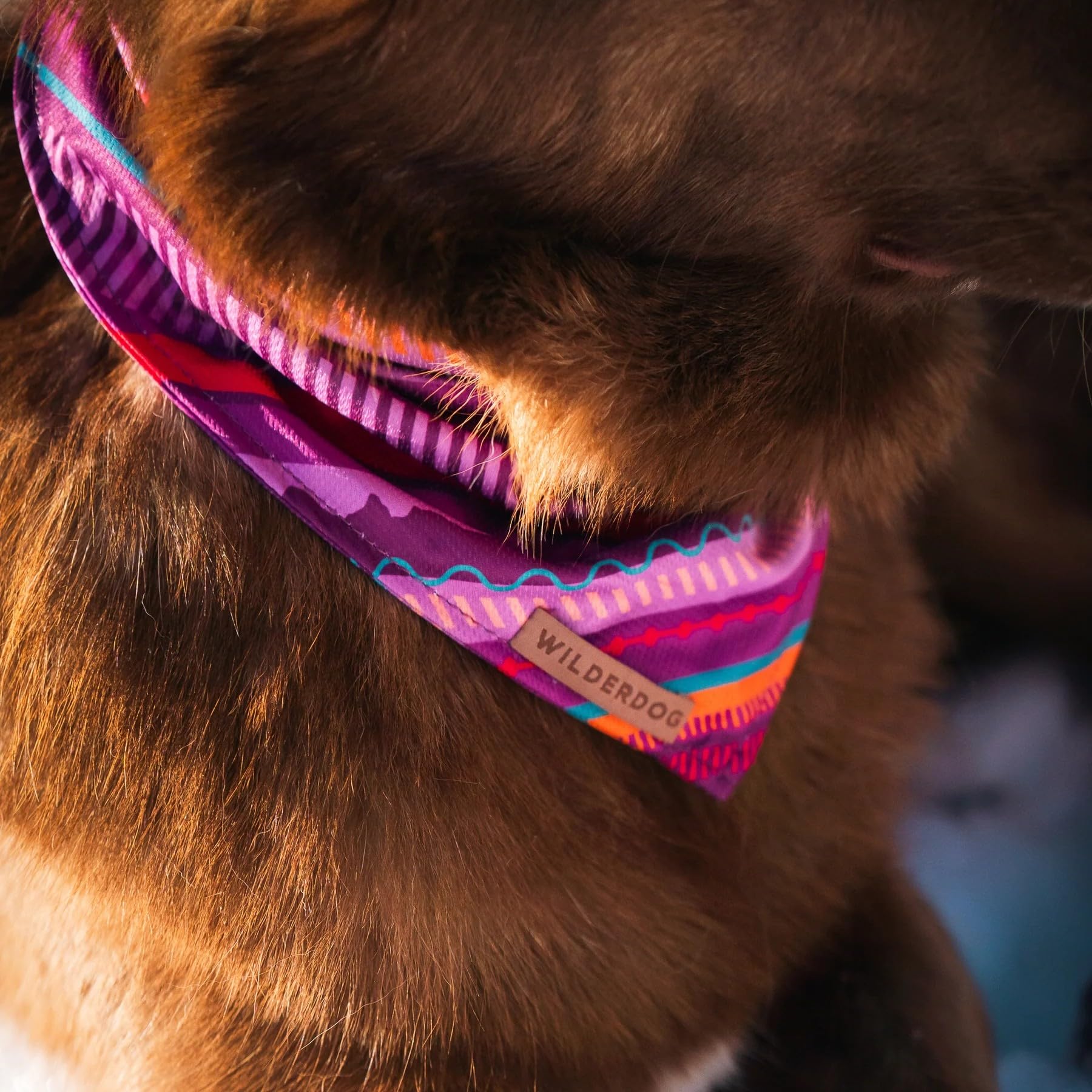 Wilderdog Dawn bandana back view highlights versatile daily wear.