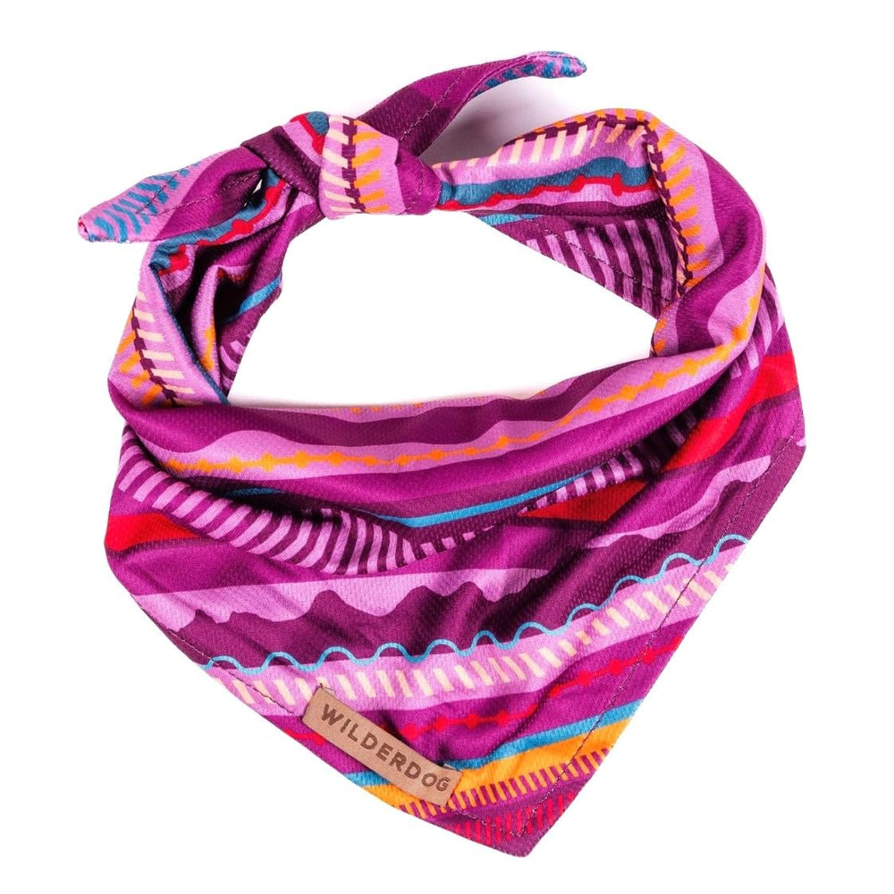 Wilderdog Dawn bandana front view on a dog, breathable for outdoor adventures.