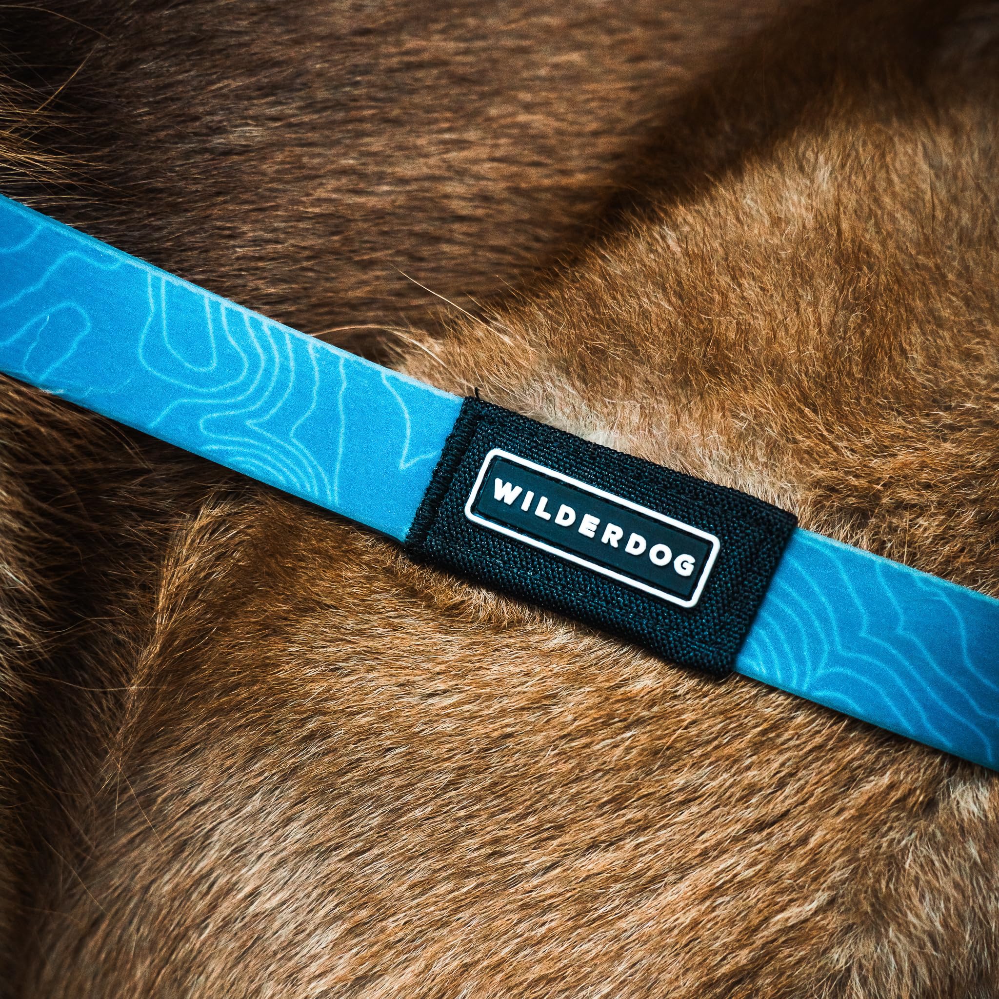 Wilderdog durable dog leash ready for daily use.