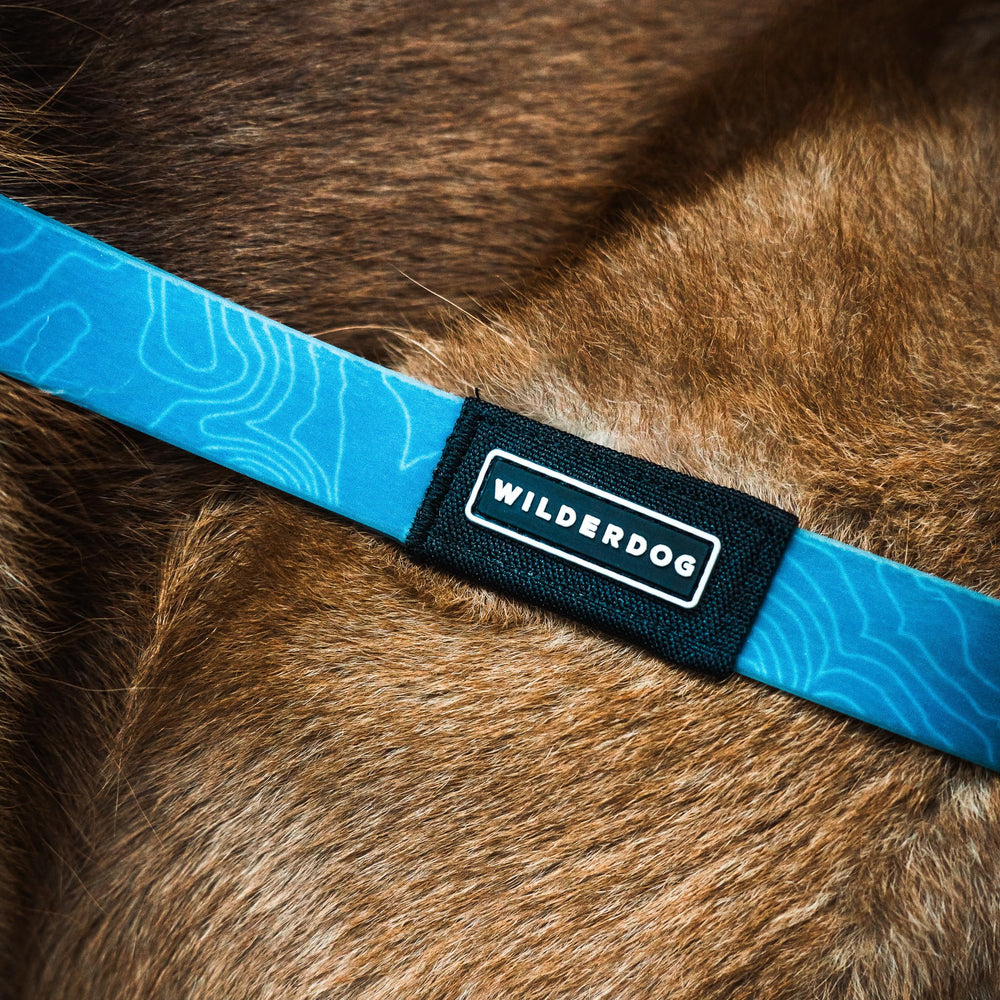 Wilderdog durable dog leash ready for daily use.