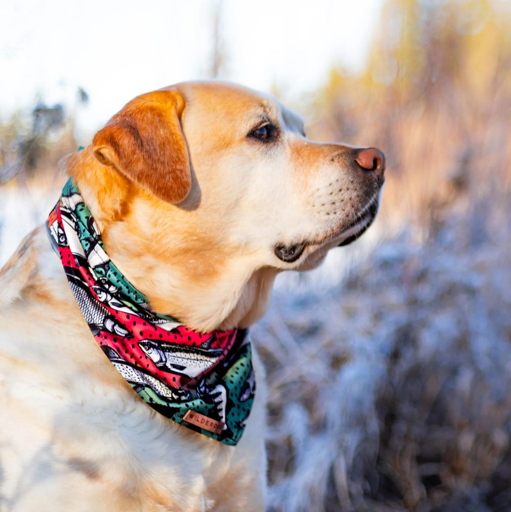 Wilderdog Gone Fishing bandana folded compactly for travel and storage.