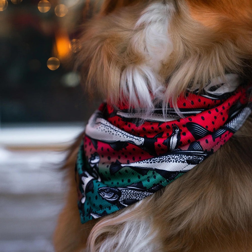 Wilderdog Gone Fishing bandana demonstrates square knot to secure fit.
