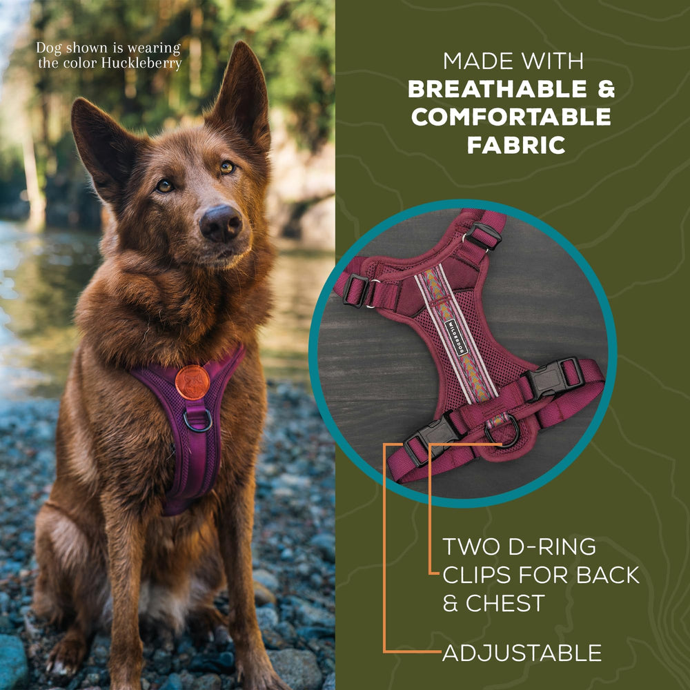 Wilderdog Huckleberry top handle enables easy grip