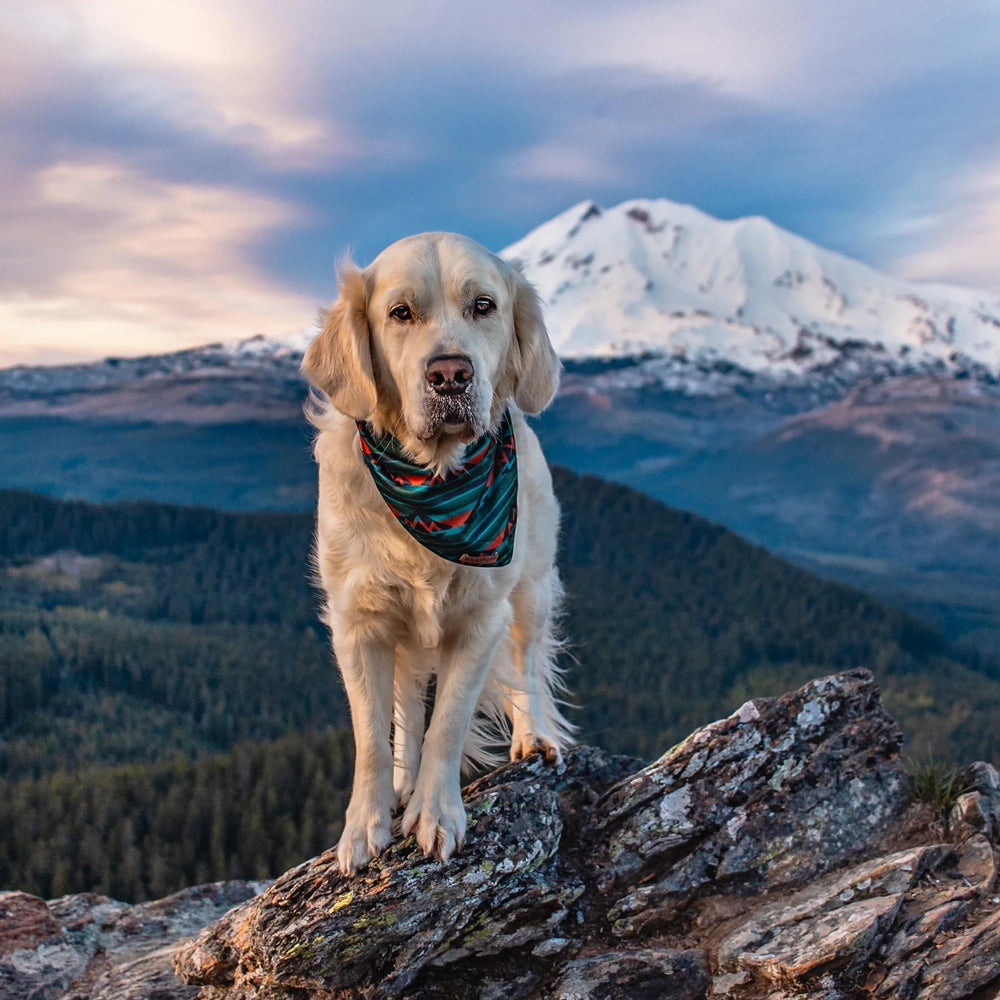 Wilderdog lifetime warranty badge conveys reliability and support.