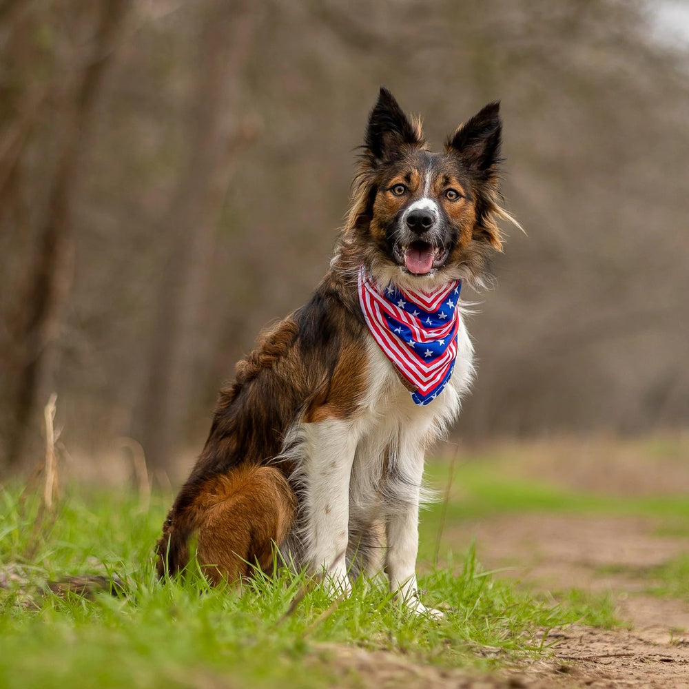 Wilderdog lifetime warranty assured craftsmanship for lasting use.