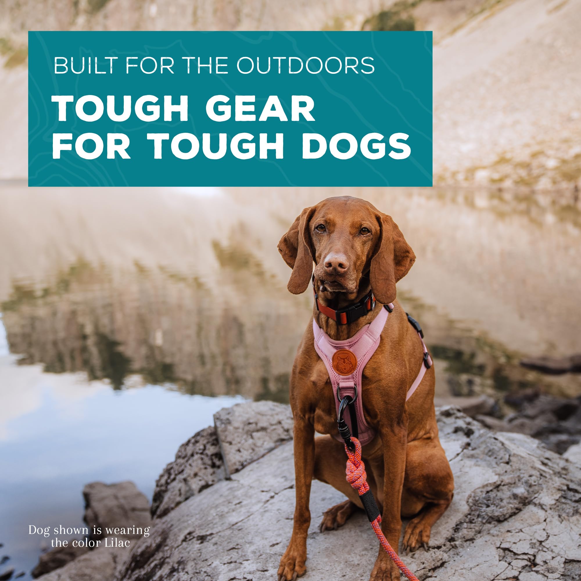 Wilderdog harness chest D-ring provides alternative leash point on trails