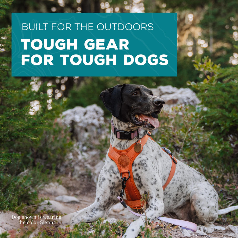 Wilderdog harness adjustable neck and shoulder straps for a snug fit