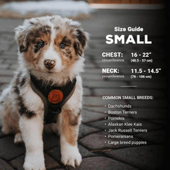 Front chest attachment on Wilderdog harness enabling versatile leash use and visibility.