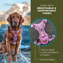 Wilderdog lilac harness, dual D-rings for chest and back attachment.