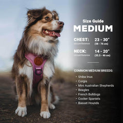 Wilderdog olive harness back D-ring for leash options.