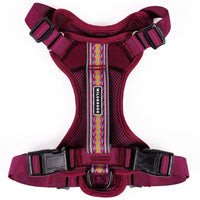 Wilderdog Huckleberry lightweight harness front view with reflective straps for visibility