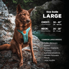 Wilderdog Harness reflective straps for safer visibility during low-light outings.