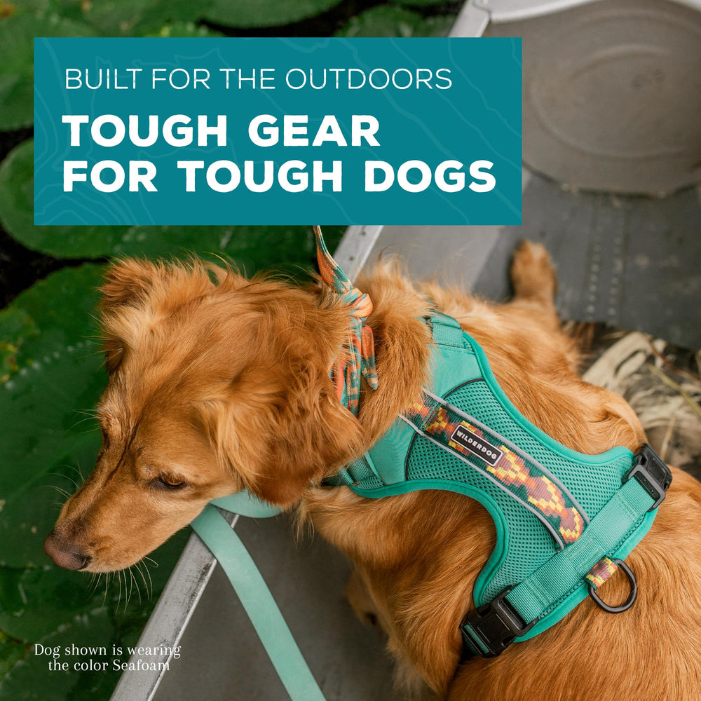 Wilderdog seafoam harness adjustable neck and shoulder for a snug fit