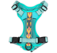 Wilderdog lightweight harness seafoam front view showing breathable fit