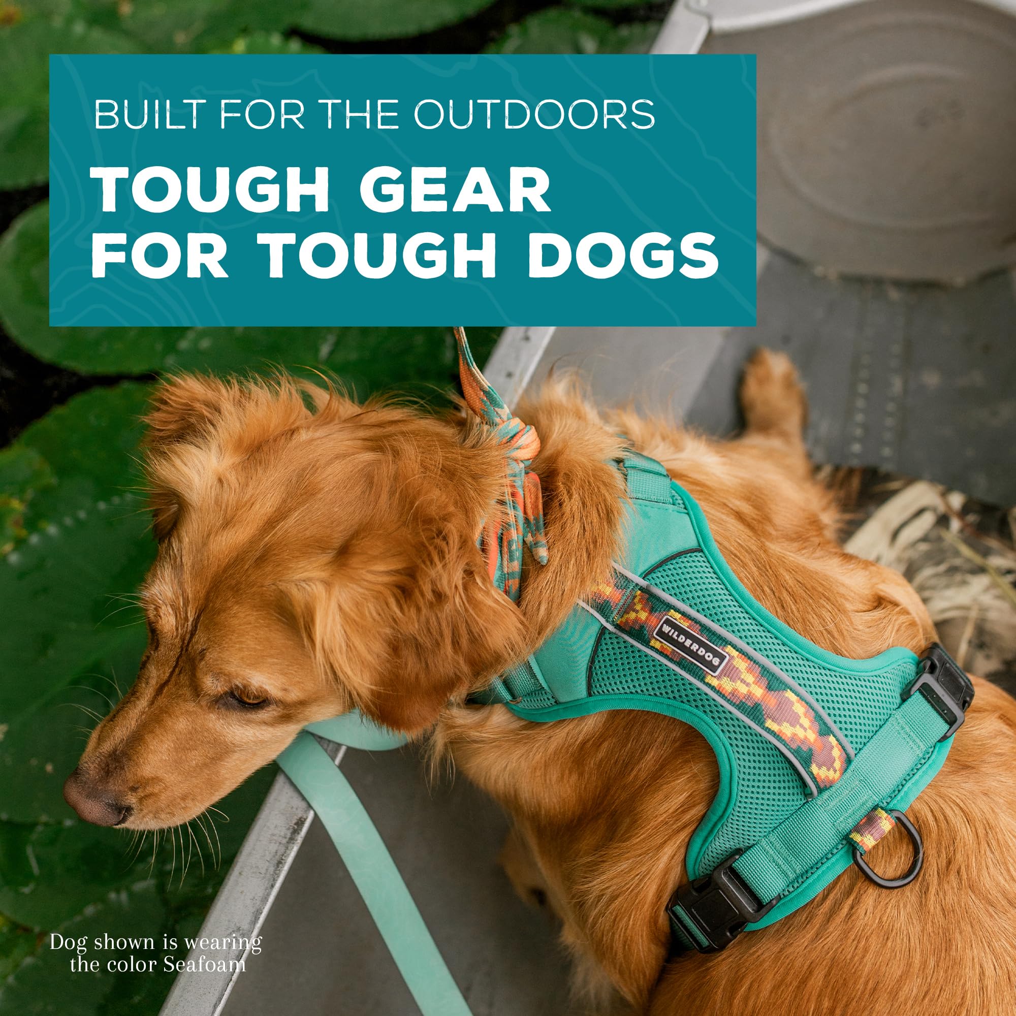 Wilderdog Seafoam harness lightweight and breathable for long adventures