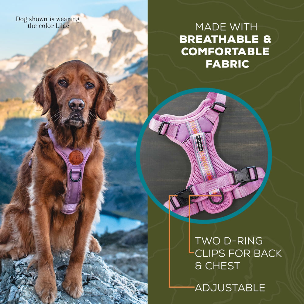 Wilderdog Harness top handle for boosting over obstacles on hikes.
