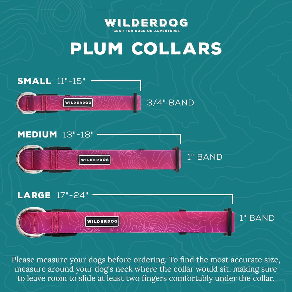 Medium plum Wilderdog collar sized 13 to 18 inches
