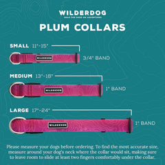 Medium plum Wilderdog collar sized 13 to 18 inches