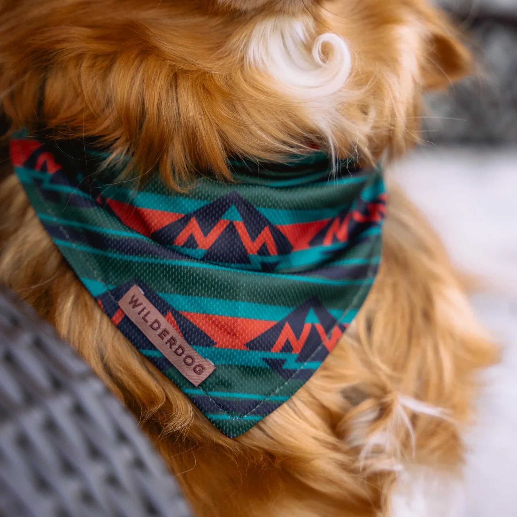 Wilderdog olive bandana in outdoor setting signals visibility and style.