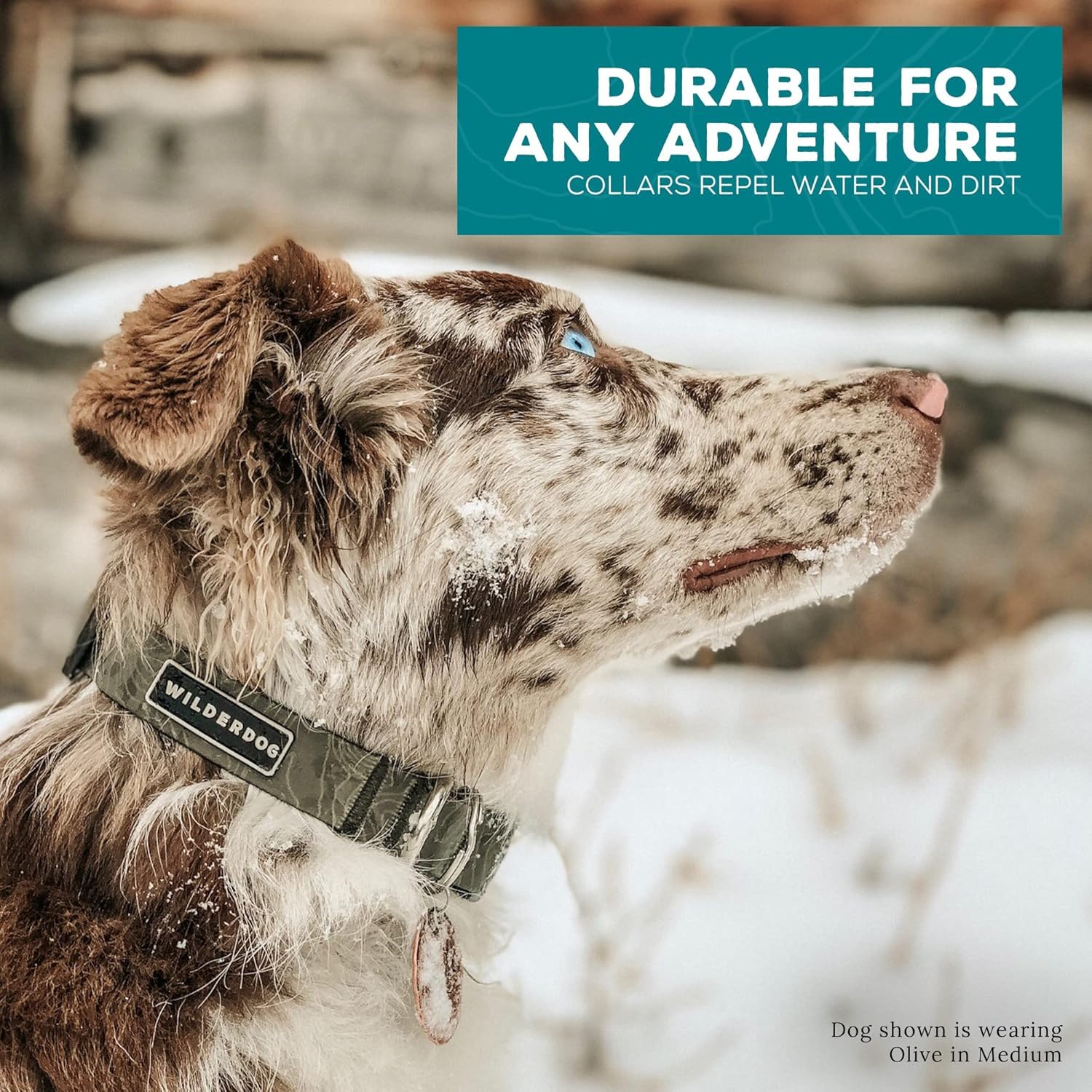 Wilderdog outdoor gear on a camping scene ready for adventures.