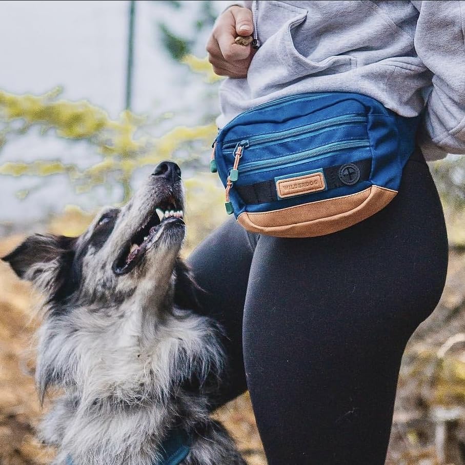 Wilderdog Pacific Blue built-in poop bag dispenser ready for quick cleanup
