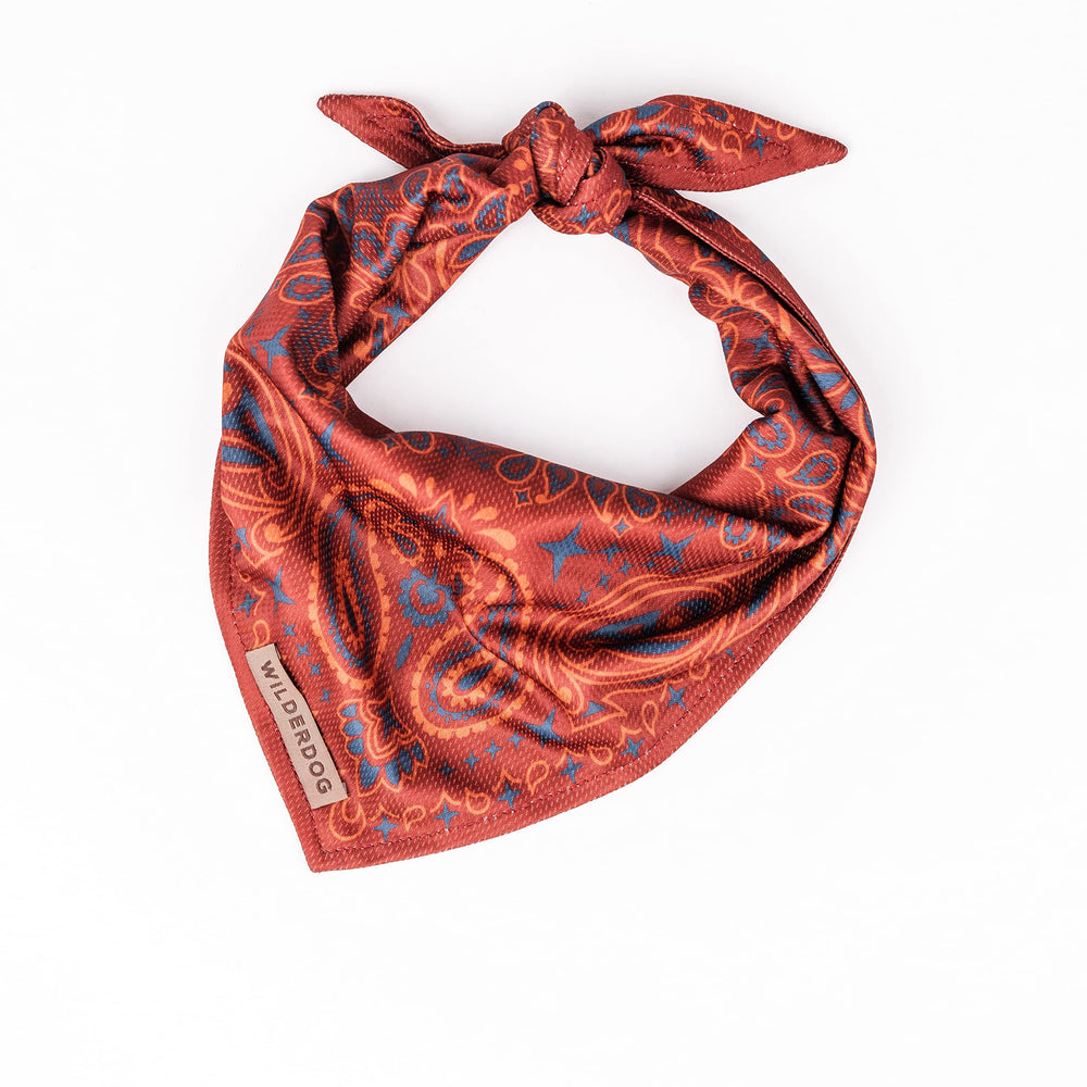 Wilderdog Rodeo bandana soft mesh front view for breathable comfort.