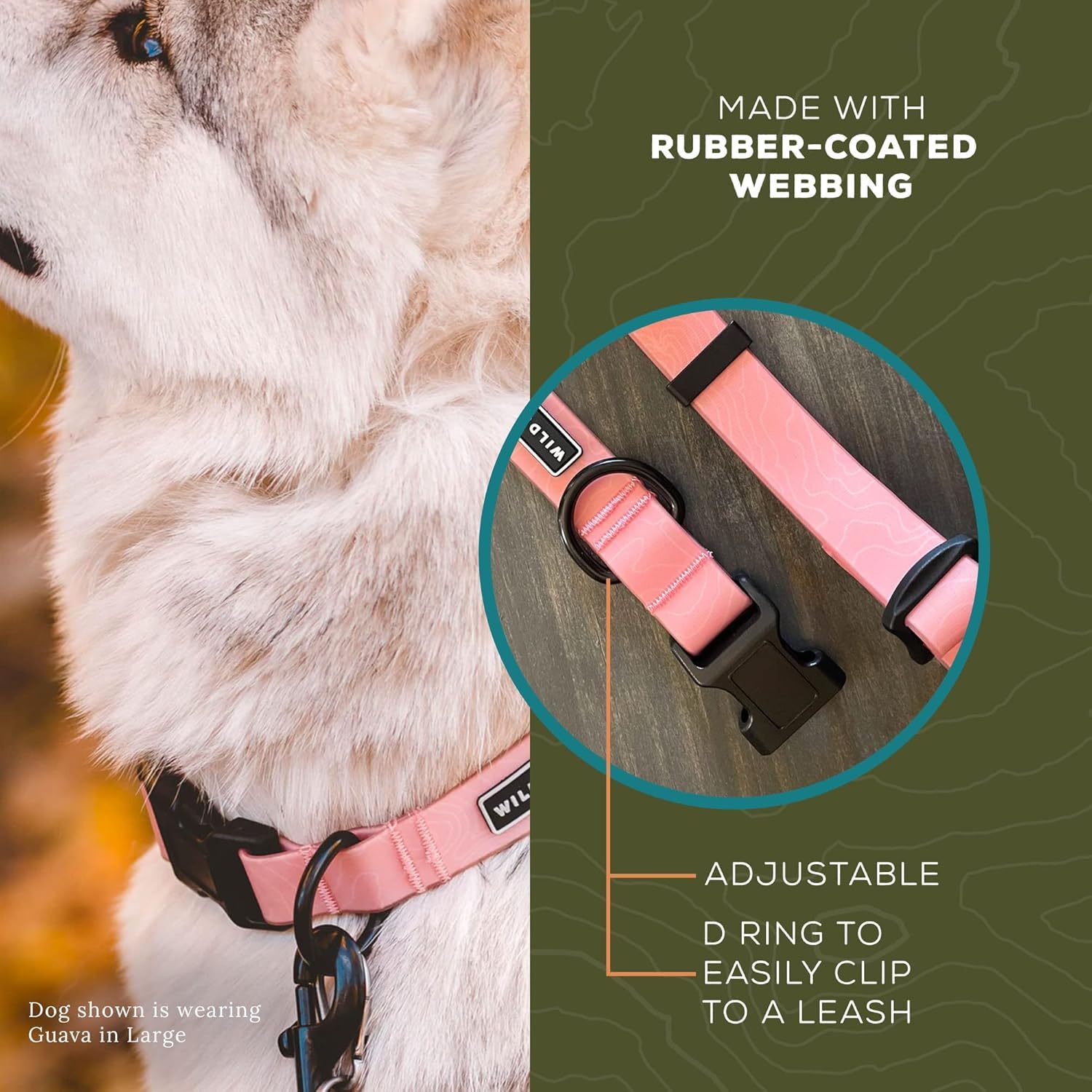 Wilderdog soft waterproof webbing collar dries quickly after splashes