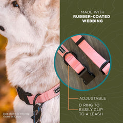 Wilderdog soft waterproof webbing collar dries quickly after splashes