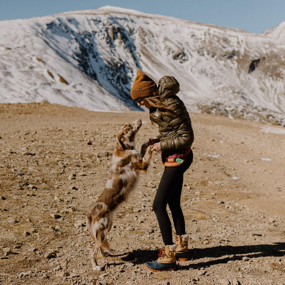 Wilderdog front attachment points for carabiners and bowls