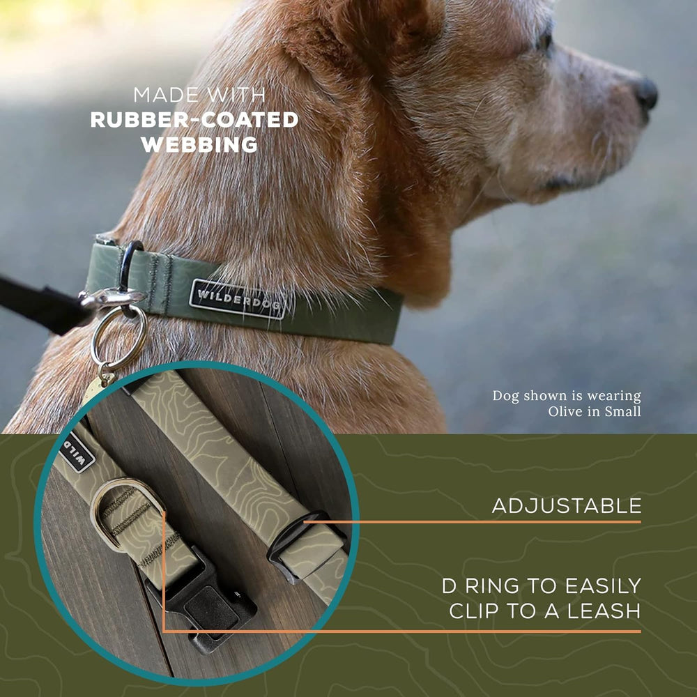 Wilderdog waterproof collar helps reduce odors after muddy hikes.