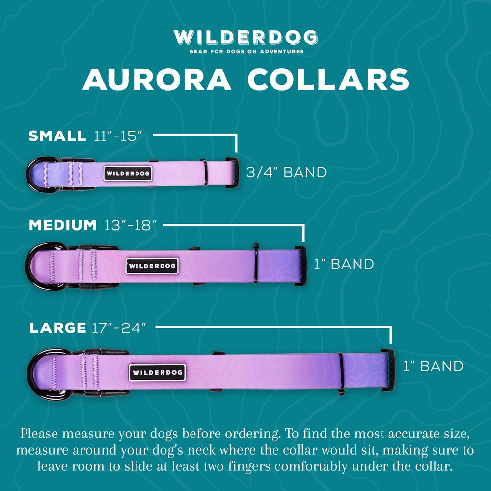 Wilderdog Aurora waterproof collar closeup on buckle shows sturdy hardware.