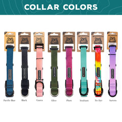 Wilderdog Aurora collar side view highlights flexible strap and comfortable fit.