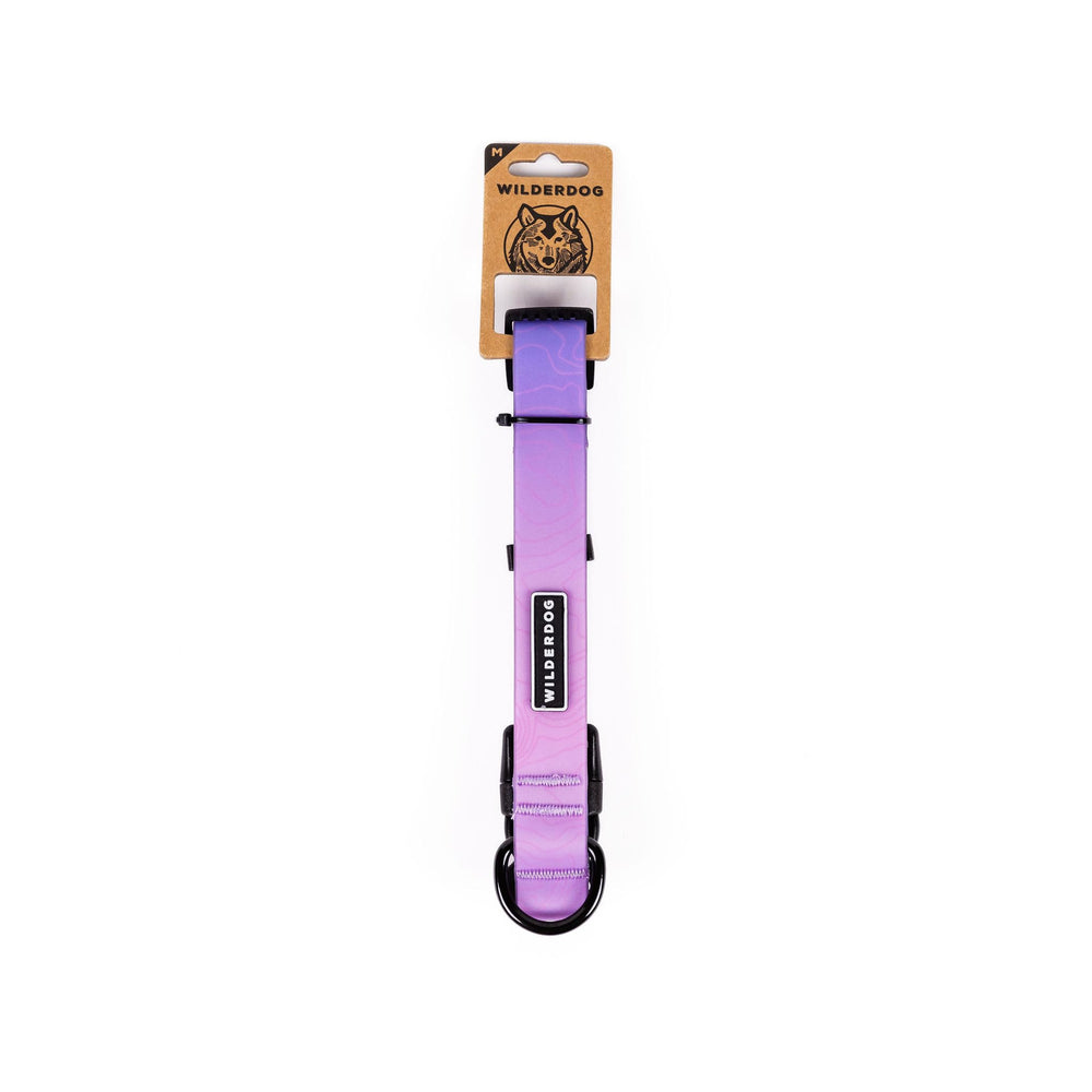 Wilderdog Aurora waterproof collar in use, repelling water and dirt