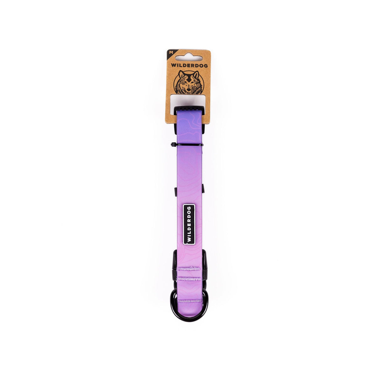 Wilderdog Aurora waterproof collar in use, repelling water and dirt